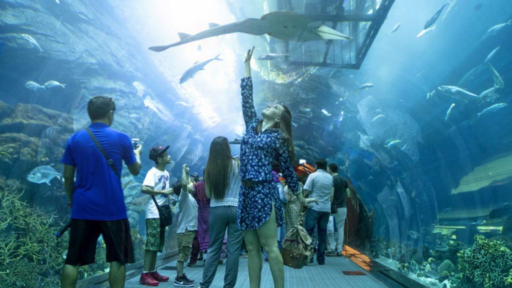 Dubai Aquarium & Underwater Zoo